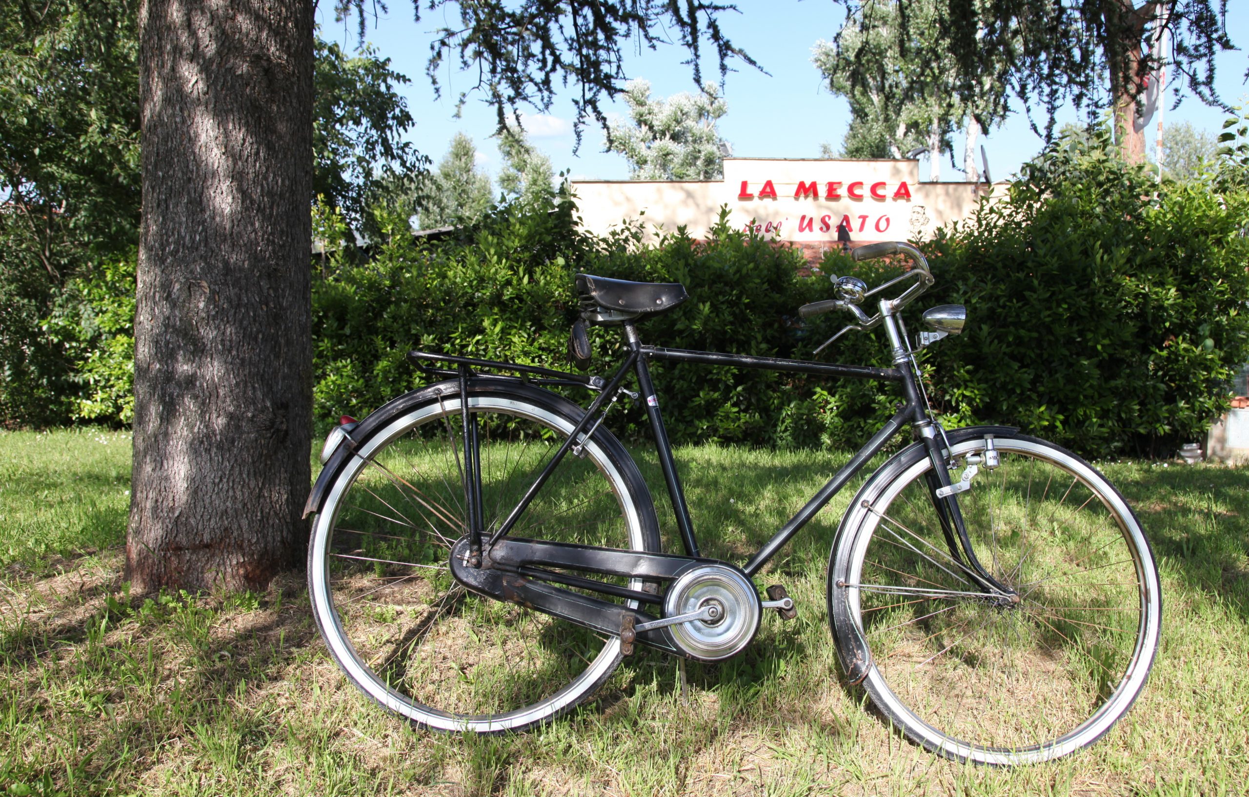 bicicletta uomo freni a bacchetta verniciata